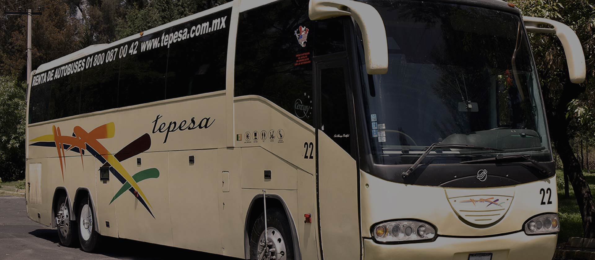 renta autobuses tepasa