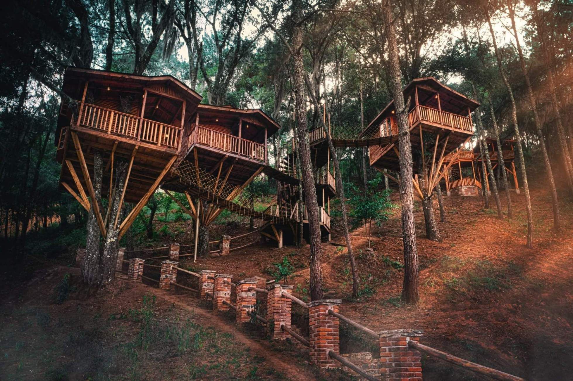 Asombroso hotel de casas de árbol en Zacatlán de las Manzanas - Viajes