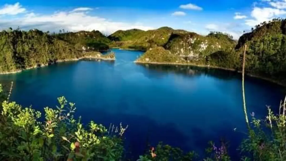 diversidad natural mexico